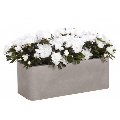 50x20x18cm lovelis 1