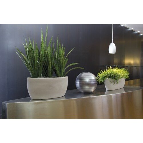 60x20x18cm lovelis 1