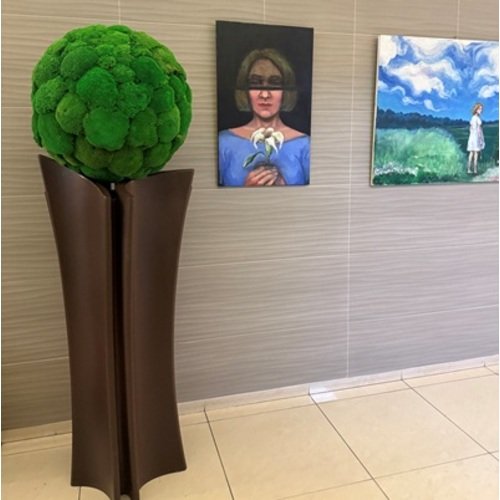 Stabilizuotų samanų rutulys