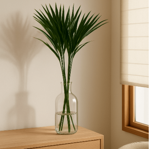 Stabilizuotų papirusų puokštė