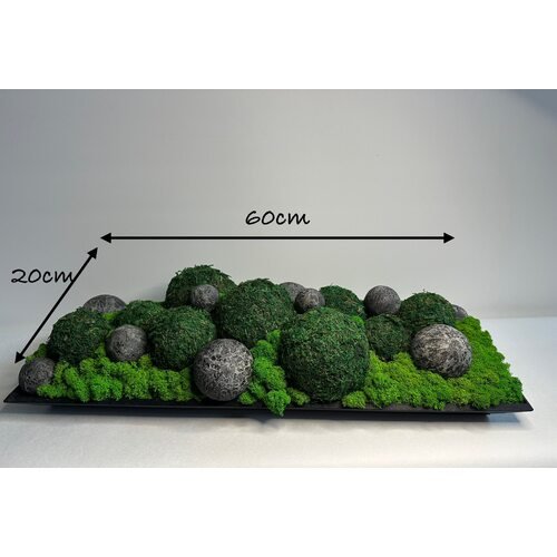 Dekoracija su stabilizuotomis samanomis 2