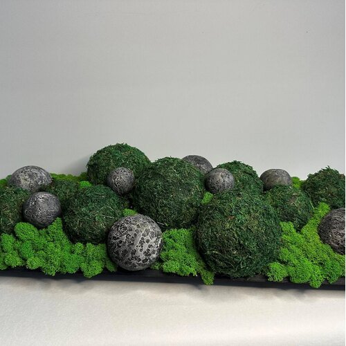 Dekoracija su stabilizuotomis samanomis