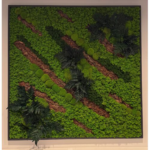 Paveikslas su stabilizuotomis samanomis