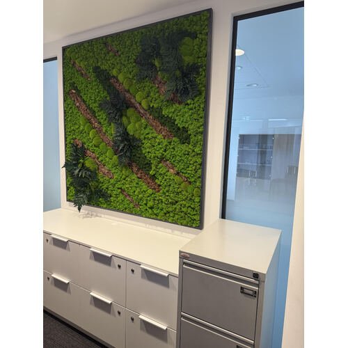 Paveikslas su stabilizuotomis samanomis 1