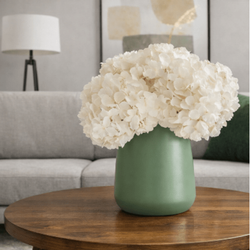 Stabilizuota hortenzijos šakelė, balta