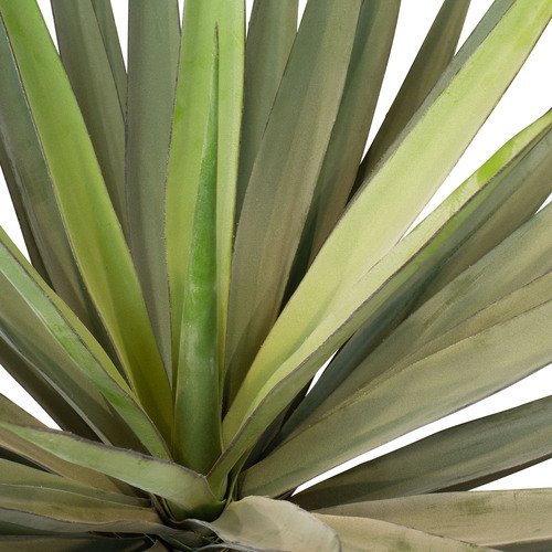 Dirbtinis Agave augalas, 95 cm.