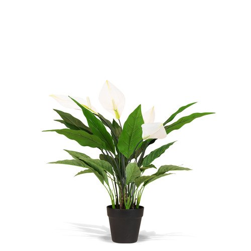Dirbtinis augalas Spathiphyllum, 68 cm. 1