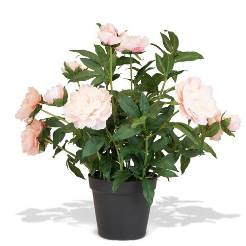 Dirbtinis bijūnas, 70 cm. 1