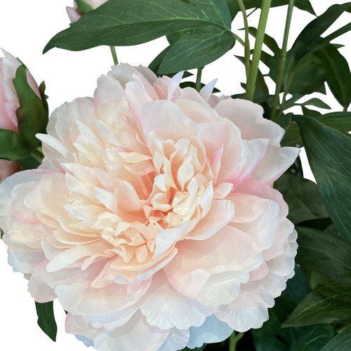 Dirbtinis bijūnas, 70 cm. 2