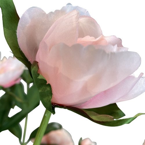 Dirbtinis bijūnas, 70 cm. 3