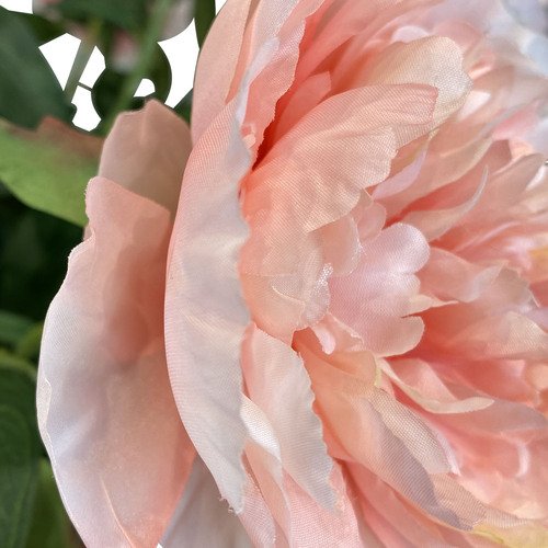 Dirbtinis bijūnas, 70 cm. 4