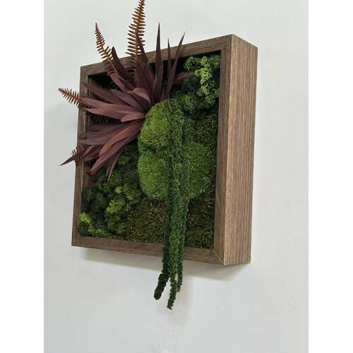 Paveikslas su stabilizuotomis samanomis 1