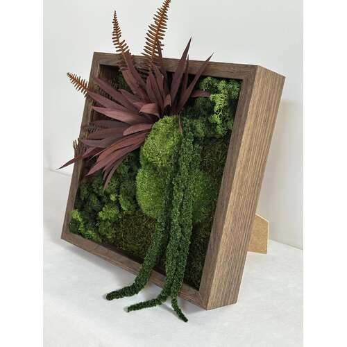 Paveikslas su stabilizuotomis samanomis 4