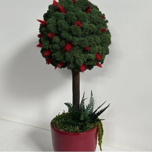 Dekoracija su stabilizuotomis samanomis