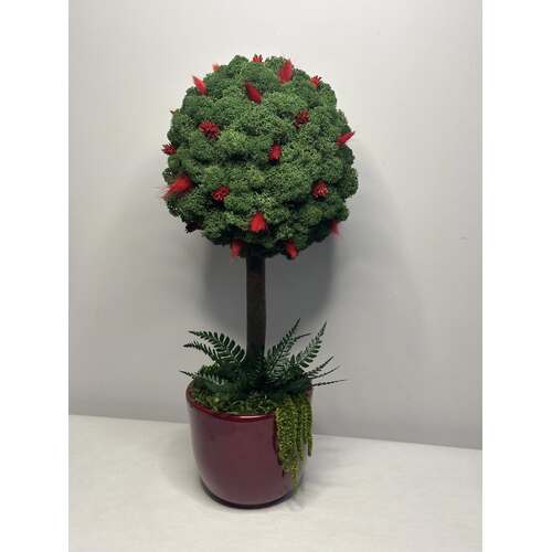 Dekoracija su stabilizuotomis samanomis 2