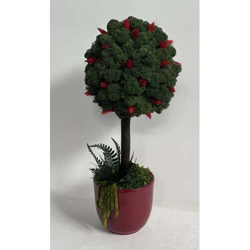 Dekoracija su stabilizuotomis samanomis 1