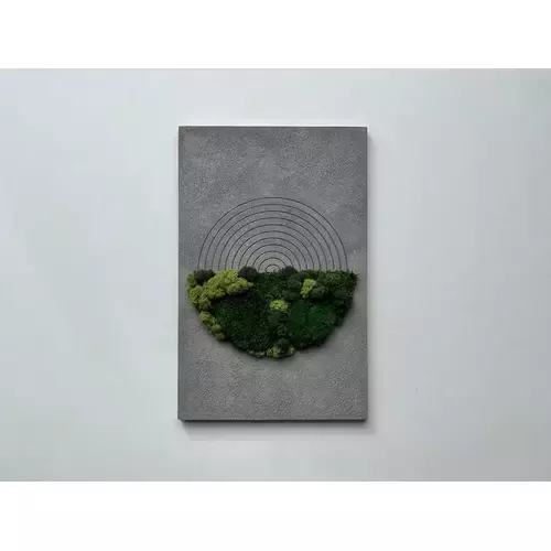 Stabilizuotų samanų paveikslas