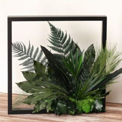 Įrėmintas stabilizuotų  augalų paveikslas