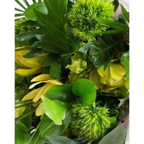 Gėlių puokštė "Žaliai žalia" 1