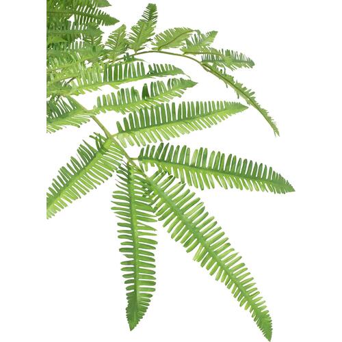 Dirbtinis Giant Fern augalas, 185 cm.