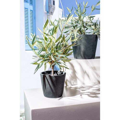 Dirbtinis Alyvmedžio krūmelis, 51 cm. 3