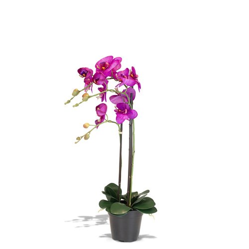Dirbtinė orchidėja, 76 cm. 1