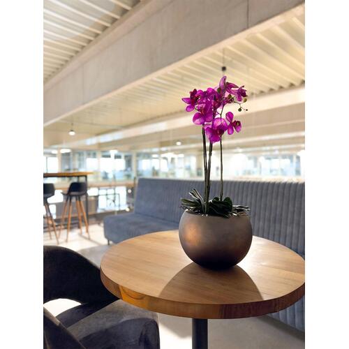 Dirbtinė orchidėja, 76 cm. 2