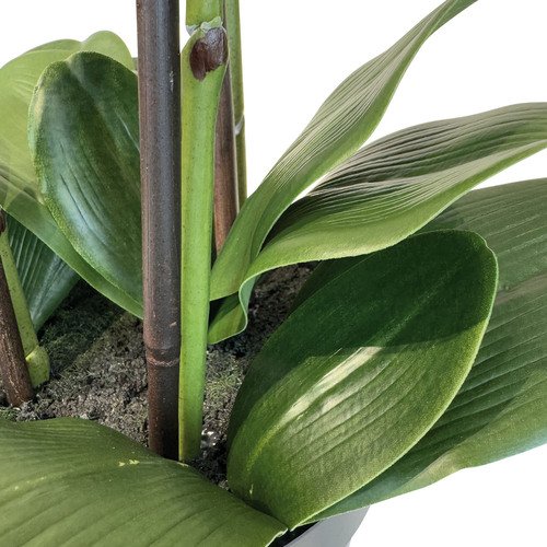 Dirbtinė orchidėja, 76 cm. 4