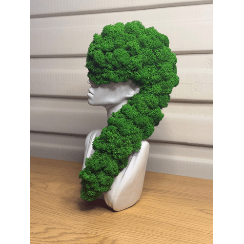 Stabilizuotų samanų dekoracija "Balta panelė" 5