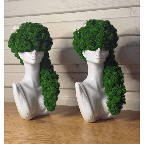 Stabilizuotų samanų dekoracija "Balta panelė" 9