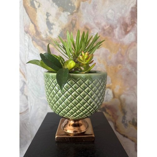 Augalų kompozicija vazone