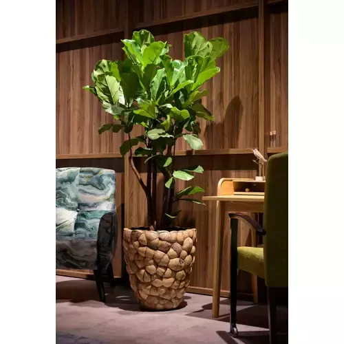 Vazonas, Ø45 cm x 50 cm