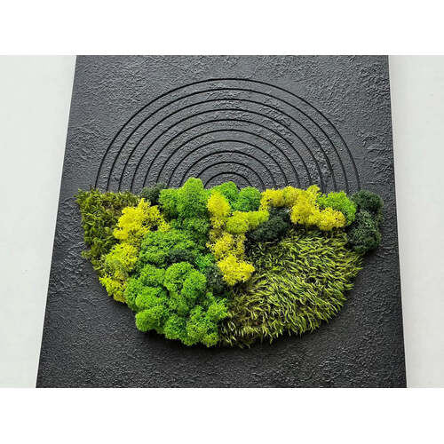 Stabilizuotų samanų paveikslas