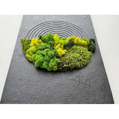 Stabilizuotų samanų paveikslas 1