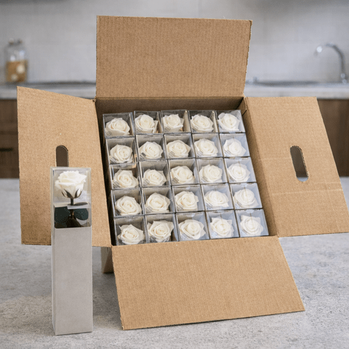 25 vnt.stabilizuotų baltų rožių puokštė, 30 cm ilgio 1