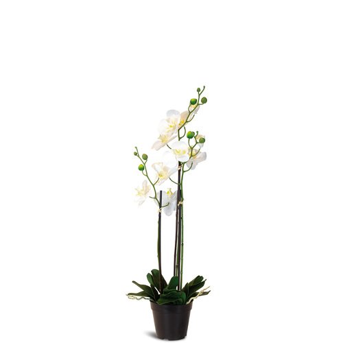 Dirbtinė orchidėja, 76 cm. 1