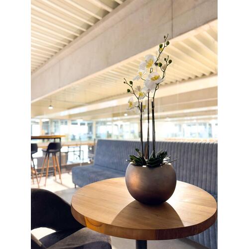 Dirbtinė orchidėja, 76 cm. 2