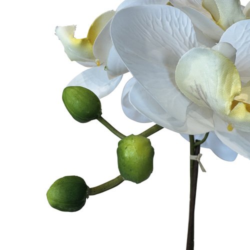 Dirbtinė orchidėja, 76 cm. 4