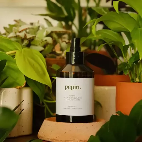 Augalus valanti dulksna 2