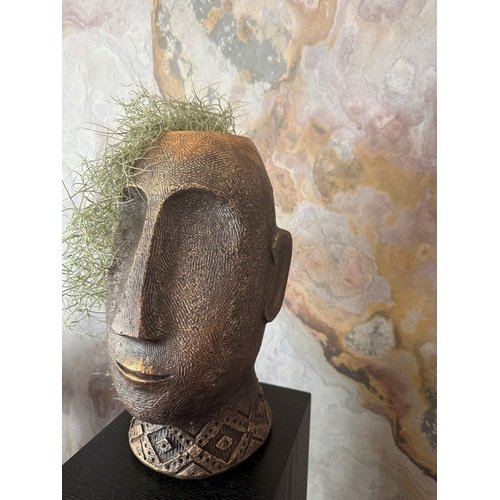 Tilandsija stilingame vazone 2