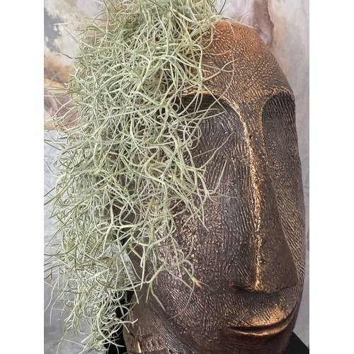 Tilandsija stilingame vazone 3