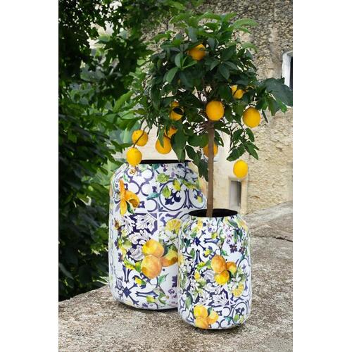 Vazonų rinkinys (2 vnt.) – 47/30 cm, 62/43 cm