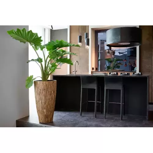 Vazonas Ø 46 cm x 90 cm 1