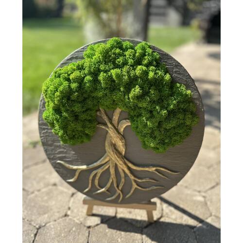 Stabilizuotų samanų dekoracija "Gyvybės medis" 3