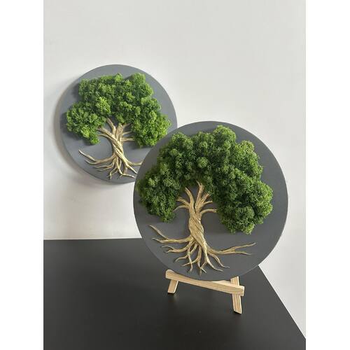 Stabilizuotų samanų dekoracija "Gyvybės medis" 8