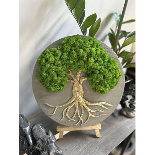 Stabilizuotų samanų dekoracija "Gyvybės medis" 9