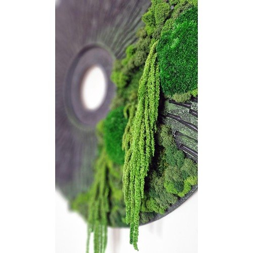 Stabilizuotų samanų dekoracija 1