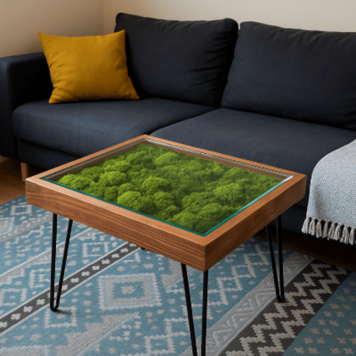 Staliukas su stabilizuotomis samanomis