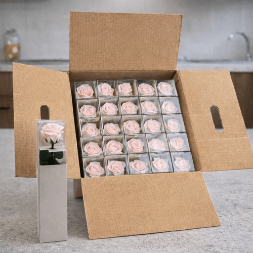 25 vnt.stabilizuotų šviesiai rožinės spalvos rožių puokštė, 30 cm ilgio 1