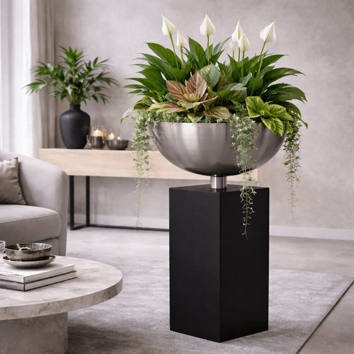 Vazonas ant juodo stovo